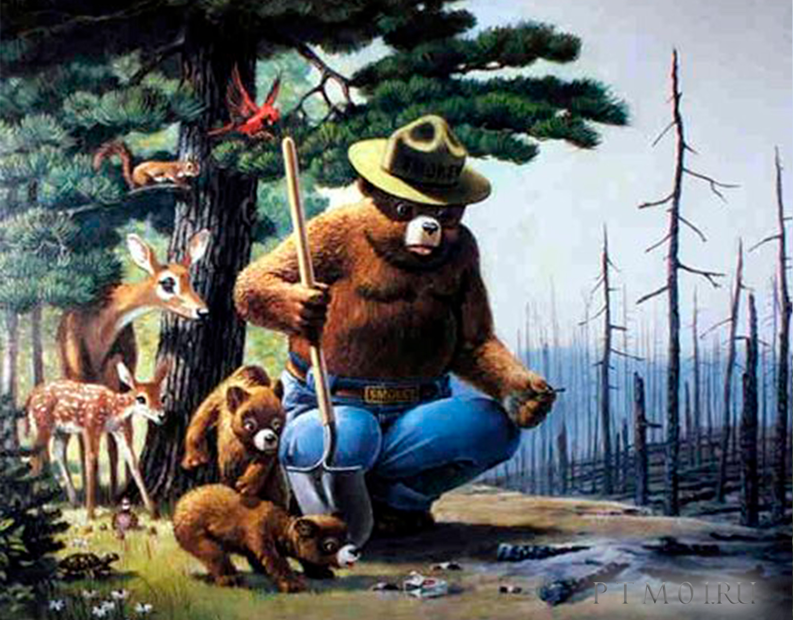 дымняшка #дымняшка #SmokeyBear #лесныепожары 